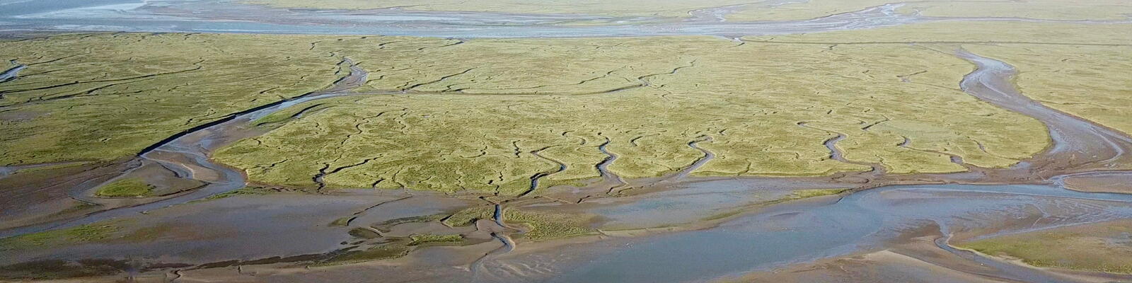 Luchtfoto van Verdronken Land van Saeftinghe