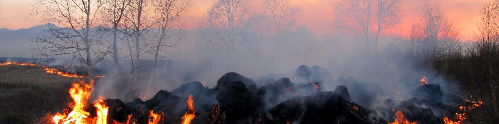 Foto van brand in de natuur, natuurbrand