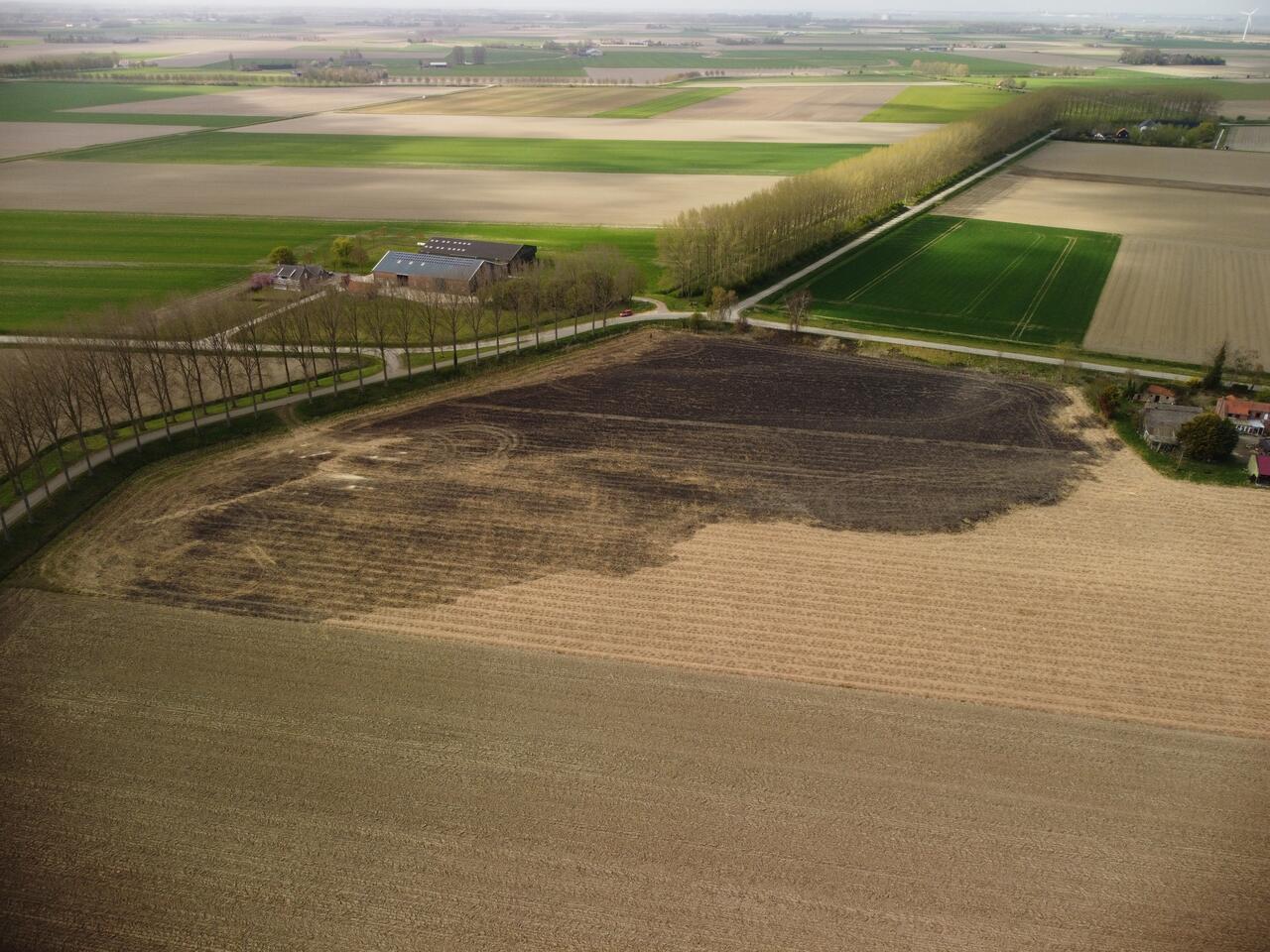 Luchtfoto van afgebrand perceel waar olifantengras op stond