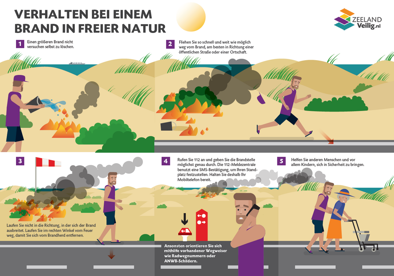 Infographic natuurbrand duits