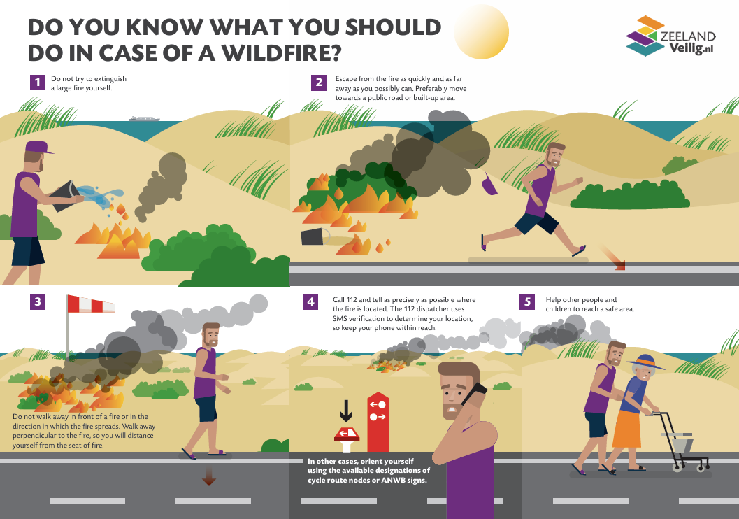 Infographic natuurbrand engels