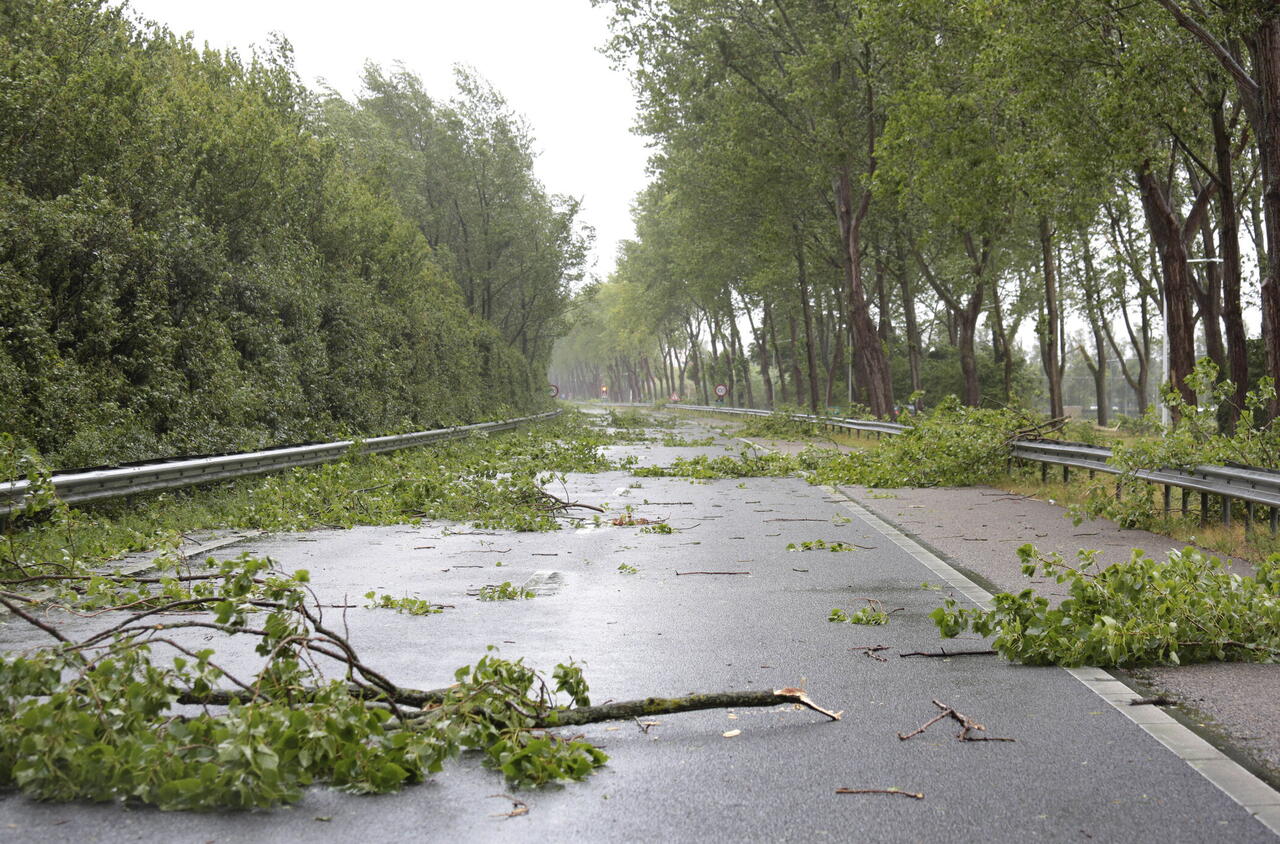 Foto van takken over de weg, storm, extreem weer