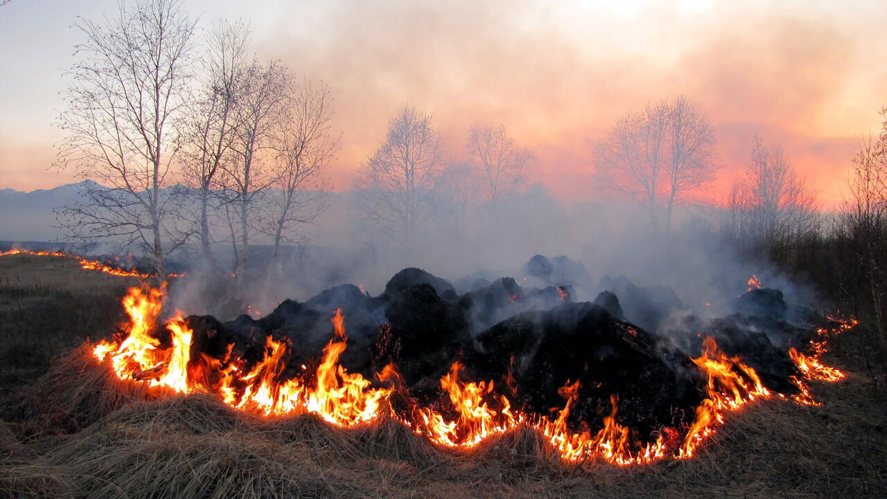 Foto van brand in de natuur, natuurbrand