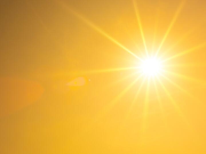 zon