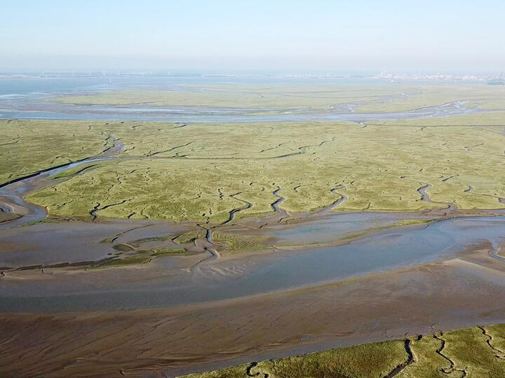 Luchtfoto van Verdronken Land van Saeftinghe